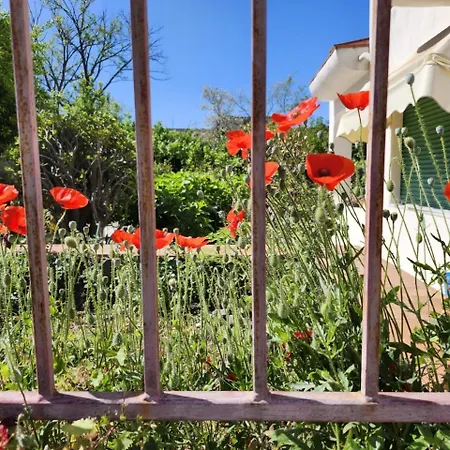 Oplontis Garden - Quiet Oasis Near Pompeiit דירה טורה אנונציאטה