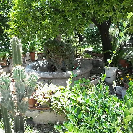 Oplontis' Garden - Near Pompeii Apartment *